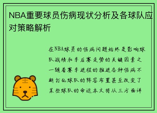 NBA重要球员伤病现状分析及各球队应对策略解析